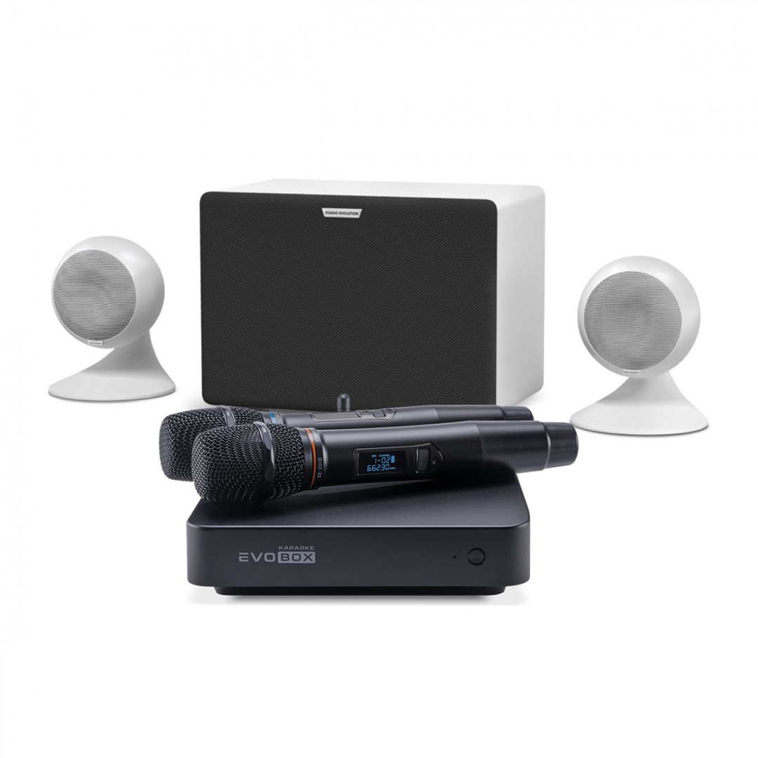 караоке-комплект EVOBOX Classic + EvoSound Sphere 2.1 в Бакале