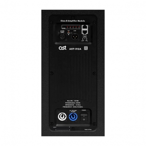 Активная акустическая система AST-312A в Бакале
